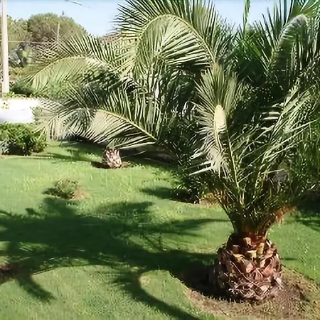 Perla Del Sole Bed & Breakfast